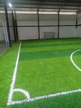 Futsal Stock Photos