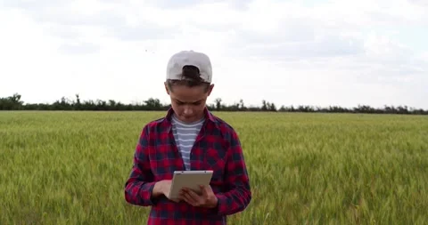Future agronomist explores wheat field with tablet, pointing toward crops Stock Footage 346472801