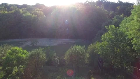 Future construction site in forest, aerial rising above shot Stock Footage 88818612
