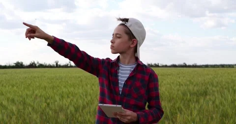 Future farmer explores wheat field with tablet, pointing toward growing crops Stock Footage 344999792