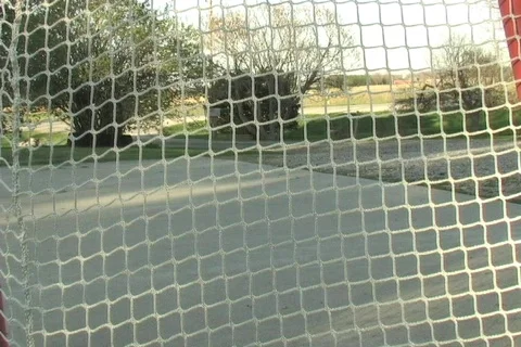 FUTURE HOCKEY STAR Stock Footage 114662