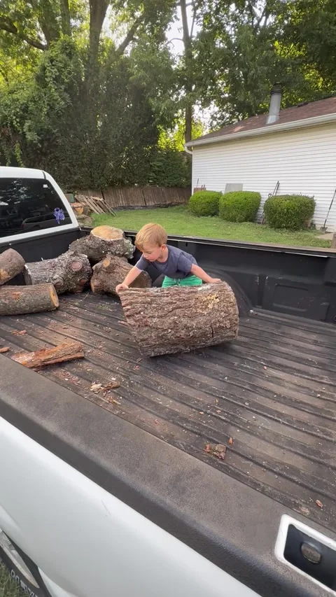 Future Lumberjack Hard at Work, Cincinnati, Ohio, USA - 28 Jul 2026 스톡 동영상 343878414