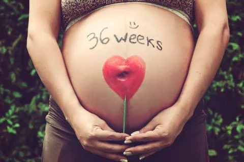 Future mom with drawing painted on her belly Stock Photos