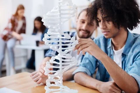 Future scientist studying human DNA structure Stock Photos