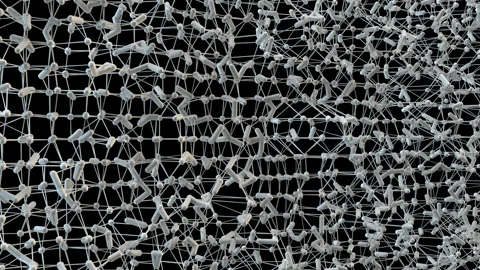 Future Shapes 1056: 3D generative plexus structure. Stock Footage 245580154