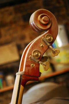 The future violin Stock Photos