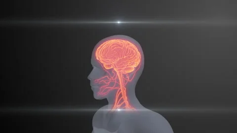 Future X-Ray Human Brain and Nerve Examination 動画素材 286945320