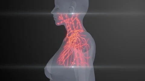 Future X-Ray Human Lymphatic Examination Stock Footage 286945345