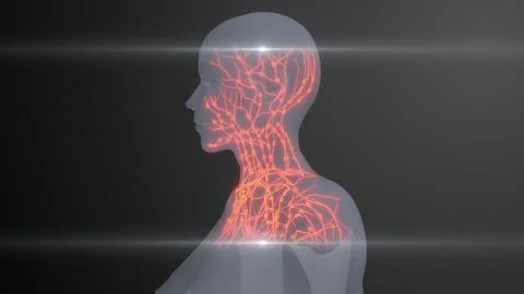 Future X-Ray Human Lymphatic Examination 库存插图