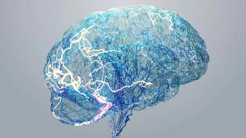Futuristic 3D Animation of Transparent Brain with Glowing Neural Network and Stock-Footage 315639667