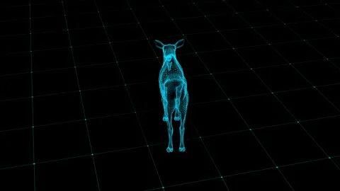 Futuristic 3D Wireframe Animal Model on Digital Grid Background, Neon Visua.. Vídeos de archivo 343591307