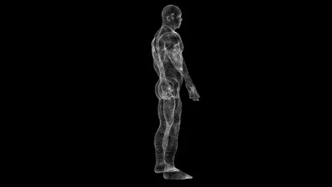 Futuristic 3D Wireframe Human Model in a Digital Display Setting Stock Footage 339053242