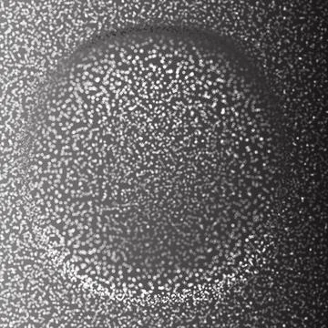 Futuristic Abstract Background. 3d Vector Illustration. Warp surface. Distort Stock Illustration