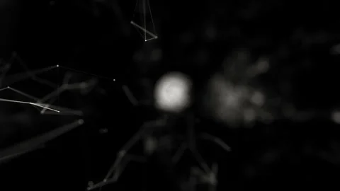 Futuristic Abstract Geometric Network Lines in Monochrome Black Background Stock Footage 341780733