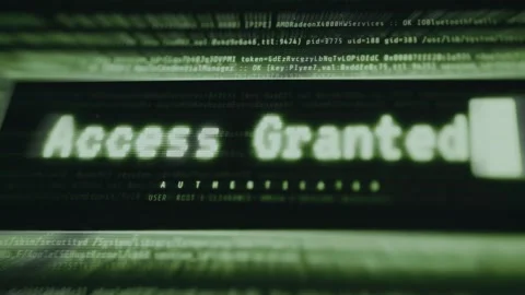 Futuristic Access Granted alert overlaying streams of green code Stock-Footage 335871292