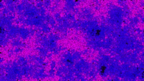 Futuristic Background Reflection Map Texture 4K Stock Footage 195287339