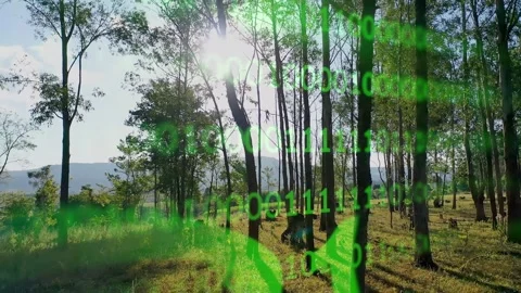 Futuristic Bar Chart At Downtown In Binary Code Climate Change. Stock Footage 310007499
