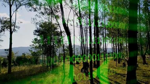 Futuristic Bar Chart At Downtown In Binary Code Climate Change. Foto stock