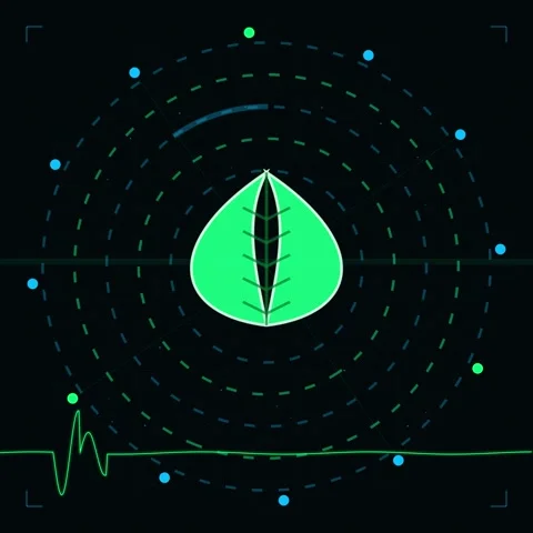 Futuristic bio-tech growth visualization: abstract glowing green leaf withi.. Stock Footage 344778053