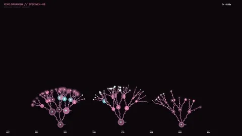 Futuristic biological data visualization HUD showing xeno organism specimen.. Video stock 334089977