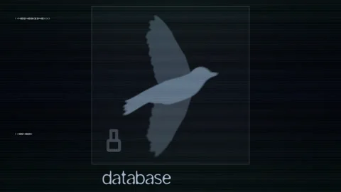 Futuristic Bird Flying Scan Rendering Digital Display Elements Video stock 300791137
