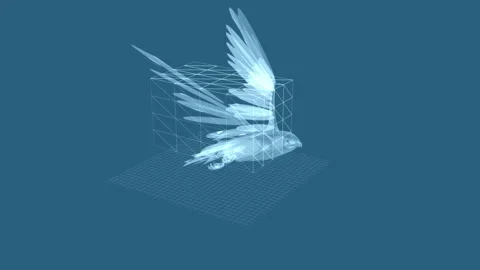 Futuristic Blue Hummingbird Vector in 3D with Grid, Surreal and Technologic.. Stock Footage 343639846