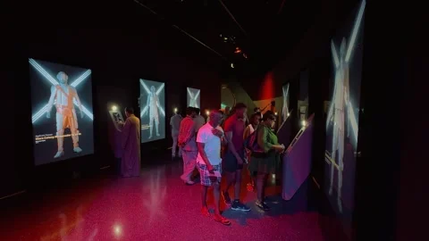 Futuristic body scan display 3 (Editorial) Stock-Footage 328843162