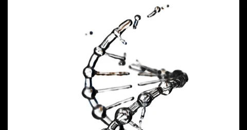 Futuristic Clean and Clear DNA Strand Made of Glass Appearing and Rotating on a 스톡 동영상 319827642