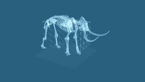 Futuristic Computer-Generated Elephant Skeleton Rendered in 3D Graphic Design 库存影片 342315723