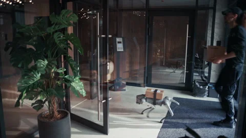 Futuristic Delivery Team: Courier and Robot Dog Enter Contemporary Lobby Video stock 322945978