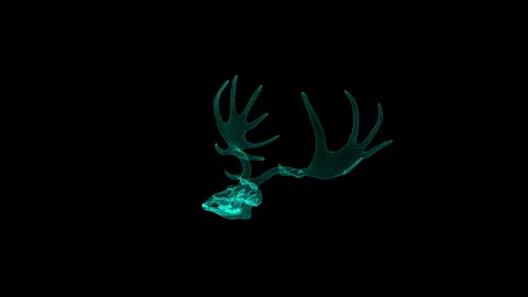 Futuristic Digital Antlers: A Neon Wireframe Masterpiece in Minimalist Design 库存影片 343035314