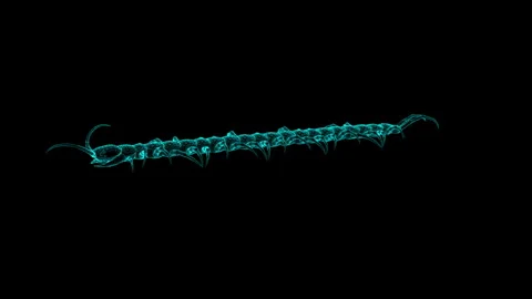 Futuristic Digital Art of a Centipede in Neon Blue Wireframe Design Stockbeeldmateriaal 343863362