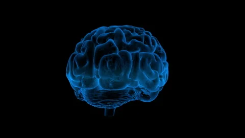 Futuristic Digital Brain in Blue on Black Background Illustrating Technology Stock Footage 339202027