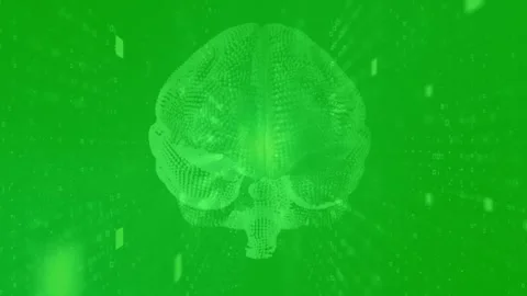 Futuristic Digital Brain with Neural Network Data Animation on Green Screen Stock Footage 333892520
