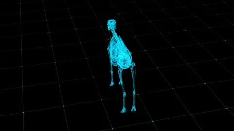 Futuristic Digital Deer Skeleton in Blue Grid Matrix Background Vídeos de archivo 343591397