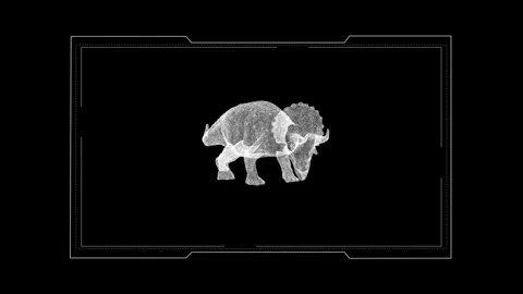 Futuristic Digital Dinosaur Fossils: Glowing Geometric Skeleton Shapes Stock Footage 343640675