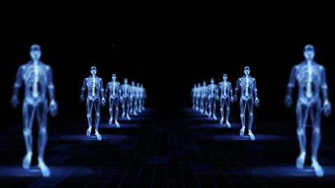 Futuristic Digital Skeletons Aligned in a Virtual Cyberspace Landscape at N.. Stock Footage 339052529