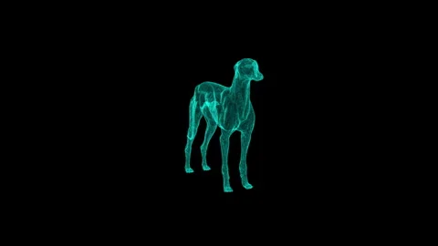 Futuristic Digital Wireframe Dog Hologram in Neon Blue Against Dark Backgroun 库存影片 344032650