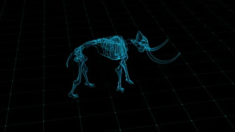 Futuristic Digital Wireframe Illustration of Mammoth Skeleton in Virtual Re.. 库存影片 342315891