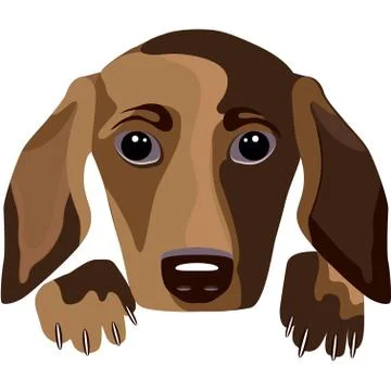 Futuristic dog - a portrait Stock Illustration