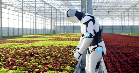 Futuristic farming robot working at large industrial glasshouse with modern Stock Footage 248892220