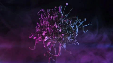 Futuristic food concept - Cryogenic alien plant in neon light Video stock 333559286