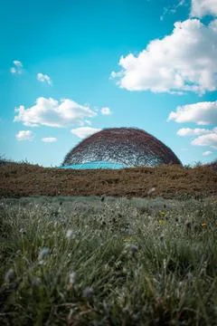 A futuristic garden 스톡 사진