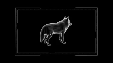 Futuristic Geometric 3D Render of a Canine on Black Background in Minimalis.. 库存影片 343124634