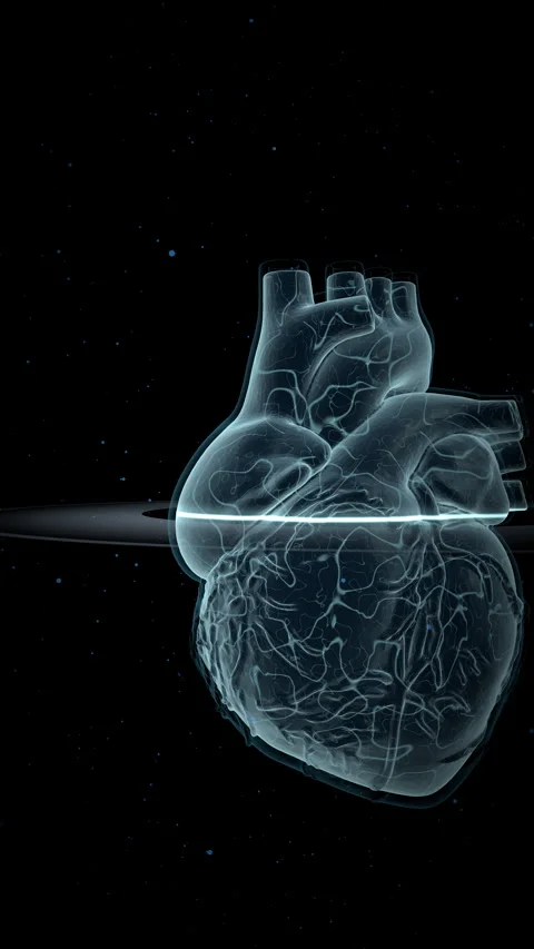 Futuristic Glass Heart Simulation, Vertical Video 9:16 4K Stock-Footage 336363282