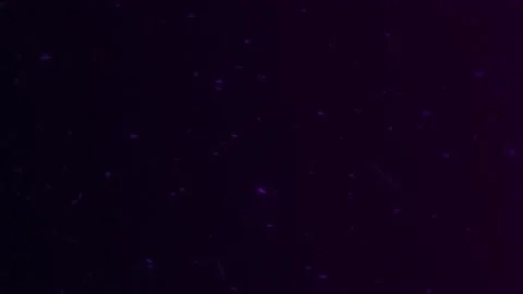 Futuristic Glowing Purple Particle Loop Background for Technology Presentatio 動画素材 343331038