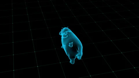 Futuristic Hologram: Blue Hippo Render on a Digital Grid Surface Display 库存影片 342376416