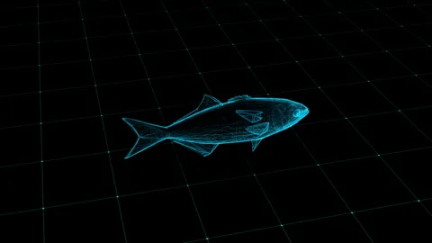 Futuristic Holographic Fish Wireframe in Digital 3D Grid Environment 库存影片 342781612