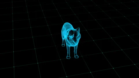 Futuristic Holographic Fox on Grid Aligned with Neon Blue Lights in Virtual.. 库存影片 343124289
