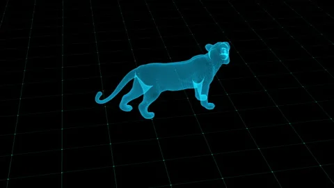 Futuristic Holographic Tiger in Wireframe 3D Grid Display Stock Footage 342245318